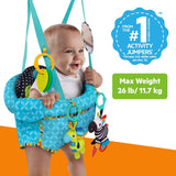 Bright Starts Bounce n Spring Deluxe Door Jumper with toys for babies