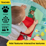 Baby Einstein Farm Explorers Happy Harvest Touch & Feel Activity Gym, Ages 0+ Months