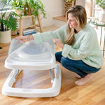 Ingenuity Step & Sprout 3-in-1 baby activity walker with nature-themed toys