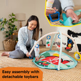 Baby Einstein Farm Explorers Happy Harvest Touch & Feel Activity Gym, Ages 0+ Months