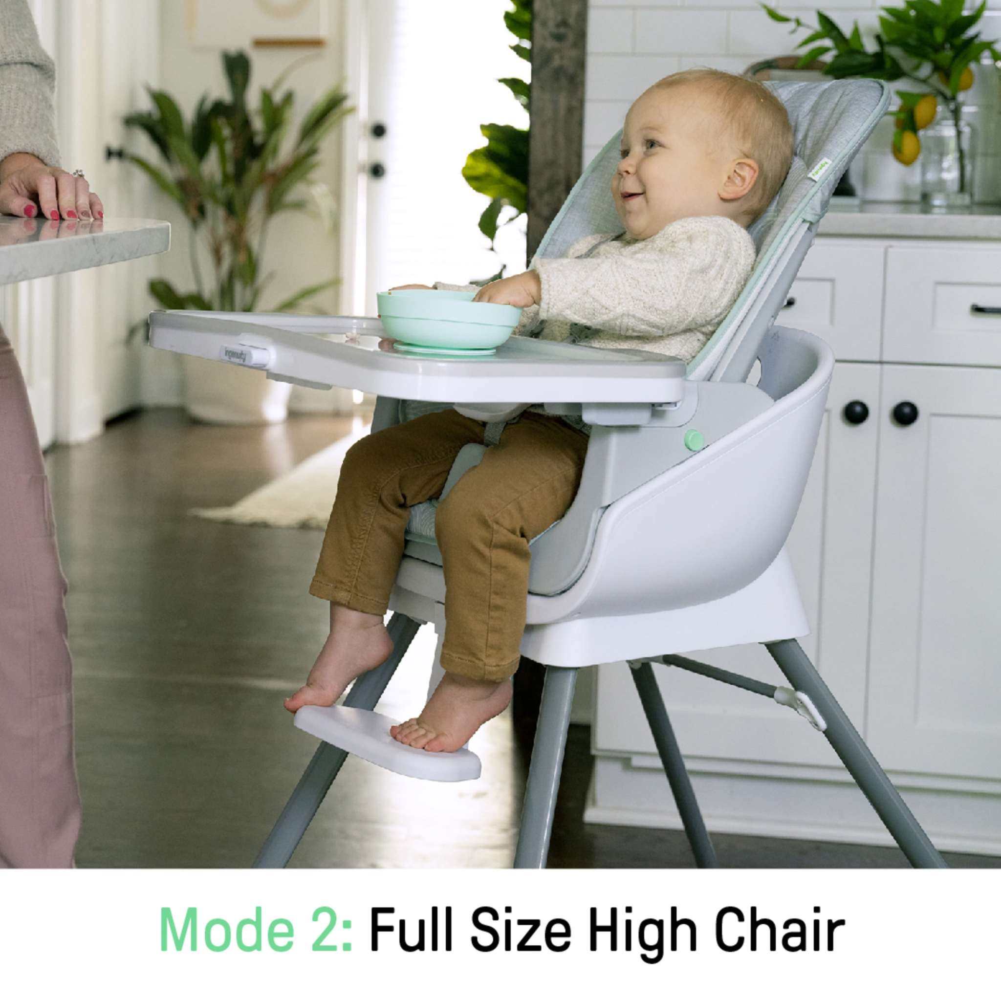 Ingenuity Beanstalk Baby to Big Kid 6-in-1 adjustable high chair in ray color