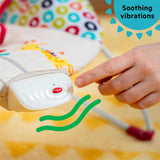 Bright Starts Playful Pinwheels vibrating baby bouncer with toy bar