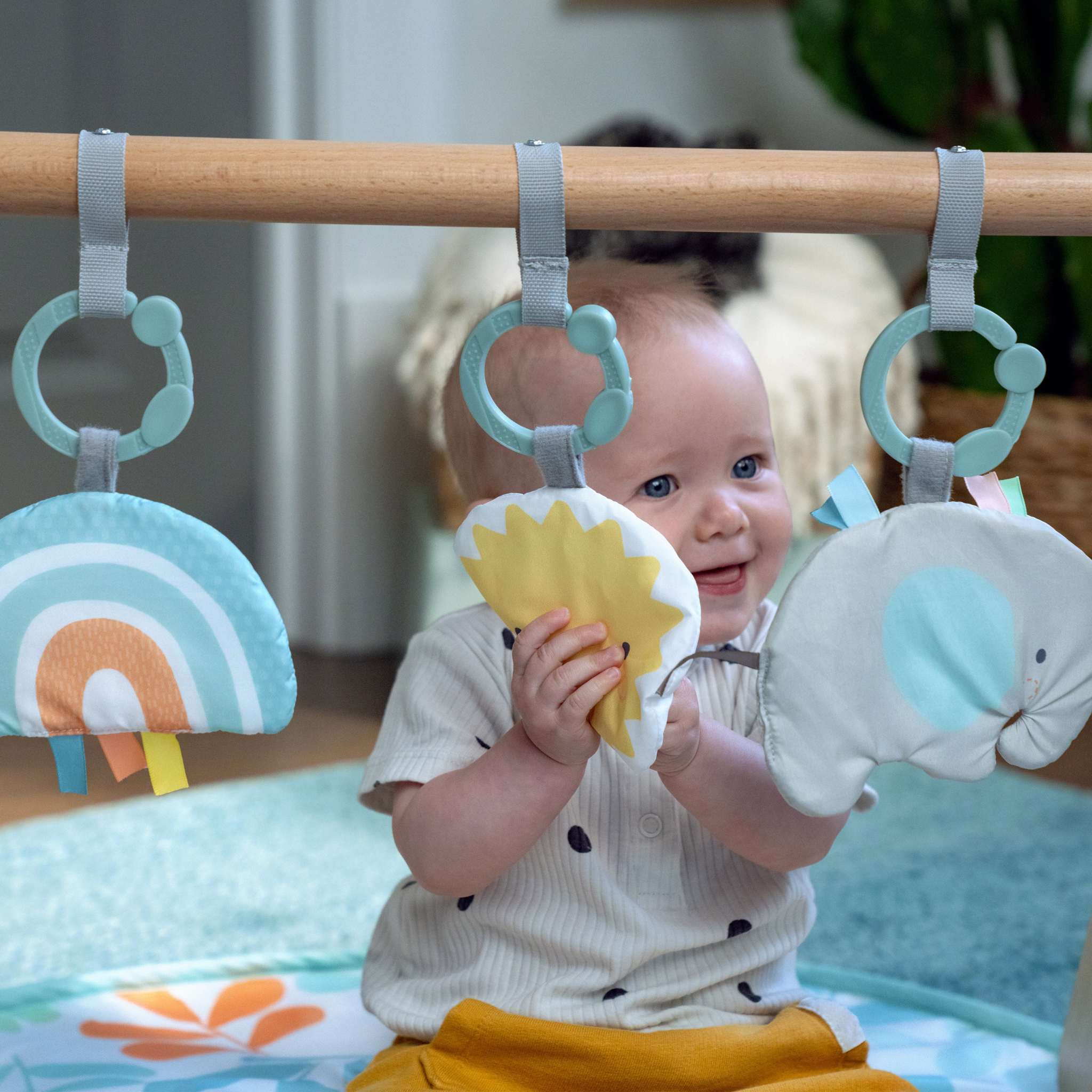 Ingenuity Sun Valley Wooden Toy Arch & Baby Play Mat