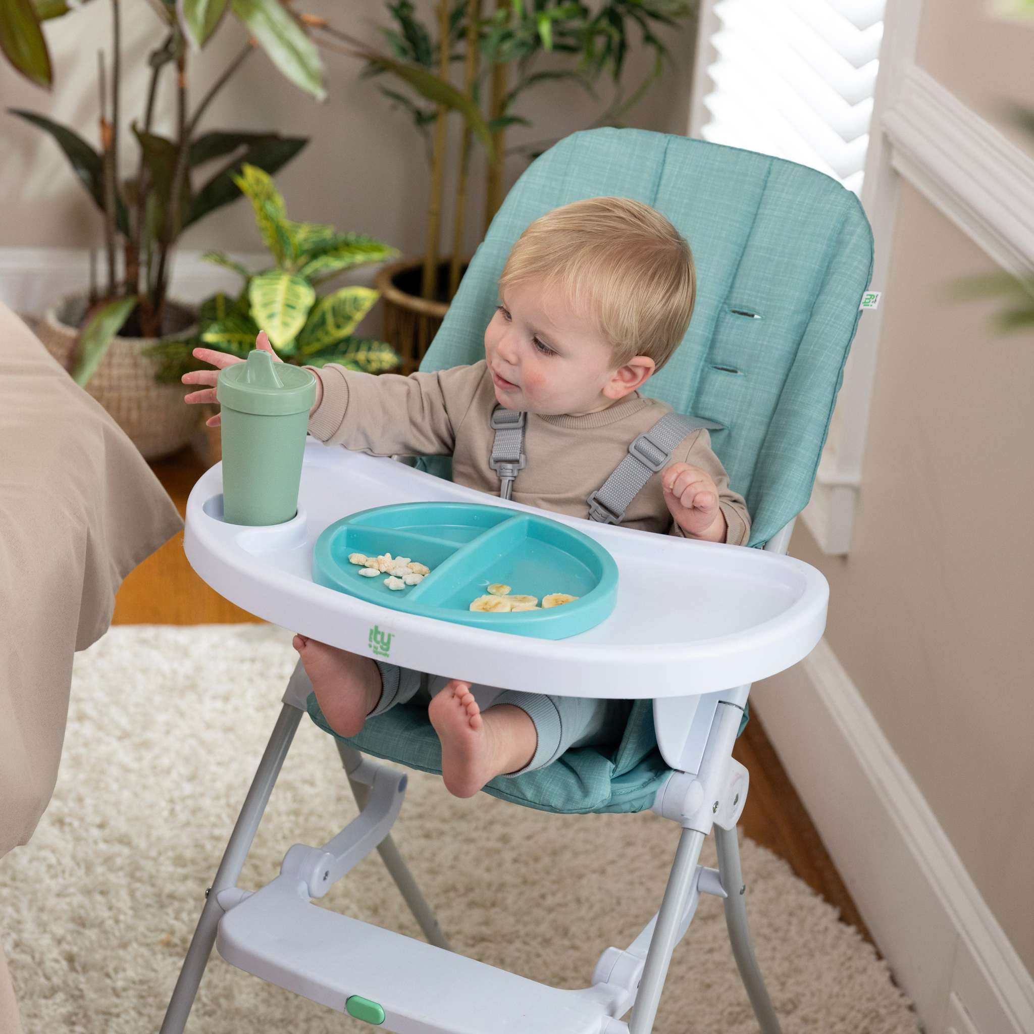 Twist & Dine plates 2-pack for high chairs with three sections, BPA-free, dishwasher and microwave safe