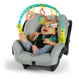 Bright Starts Oball Flex 'n Go Activity Arch Baby Toy