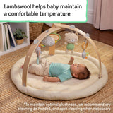 Ingenuity Every Season Plush Lambswool Baby Play Gym with wooden toy bar and sensory toys