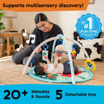 Baby Einstein Farm Explorers Happy Harvest sensory activity gym for infants