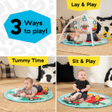 Baby Einstein Farm Explorers Happy Harvest Touch & Feel Activity Gym, Ages 0+ Months