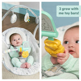 Winnie the Pooh Classic Pals milestone Swing for Baby