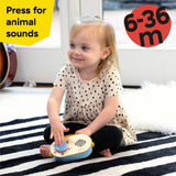 Baby Einstein + Hape Discovery Radio Toy Radio, Musical, Ages 6 Months+