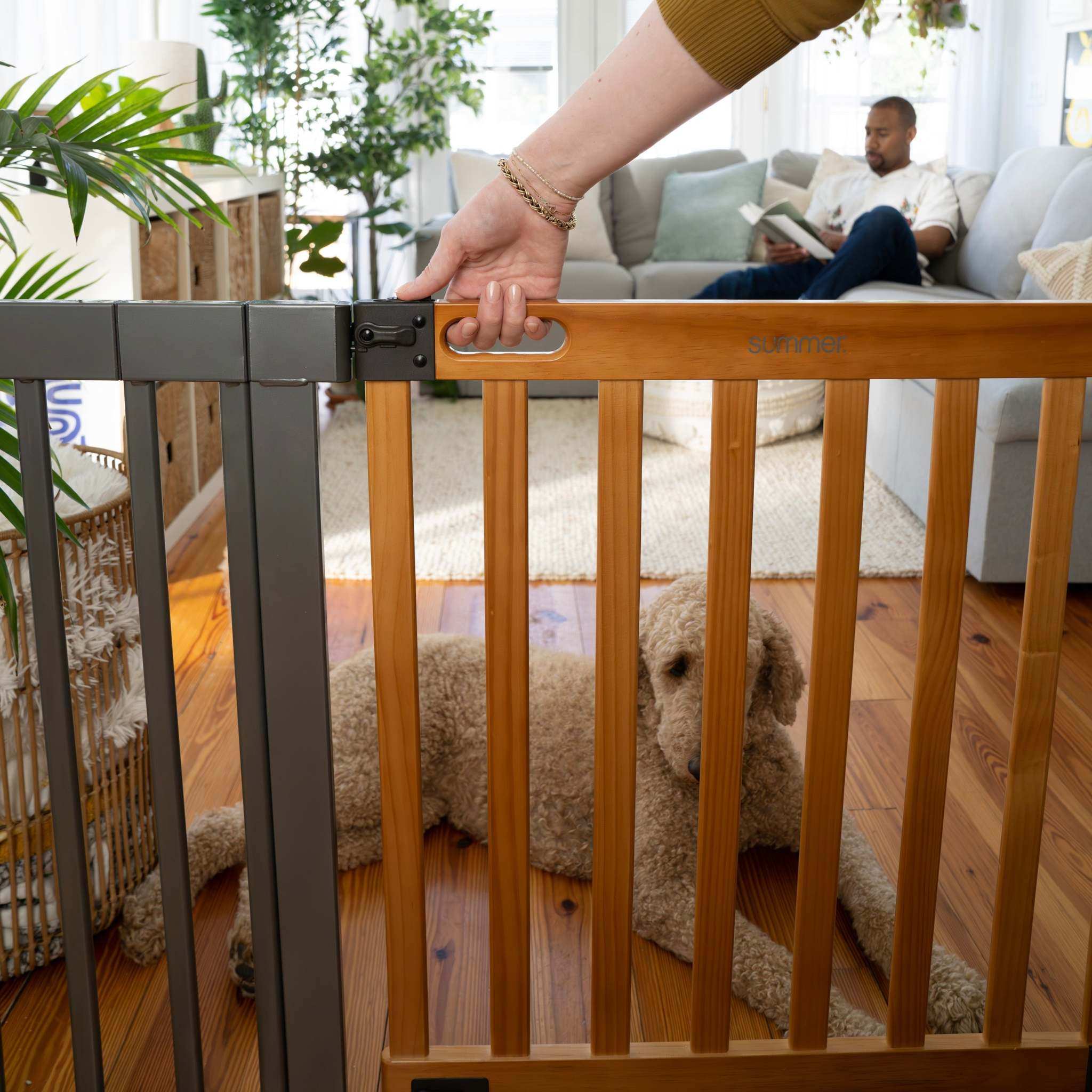 Ingenuity The Thruway 60W Series baby and pet safety gate with honey oak wood door and metal frame installed in doorway