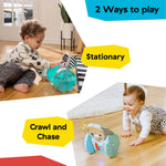 Baby playing with Baby Einstein Chase & Tap Earl™ interactive crawling toy in stationary and crawl chase modes on wooden floor