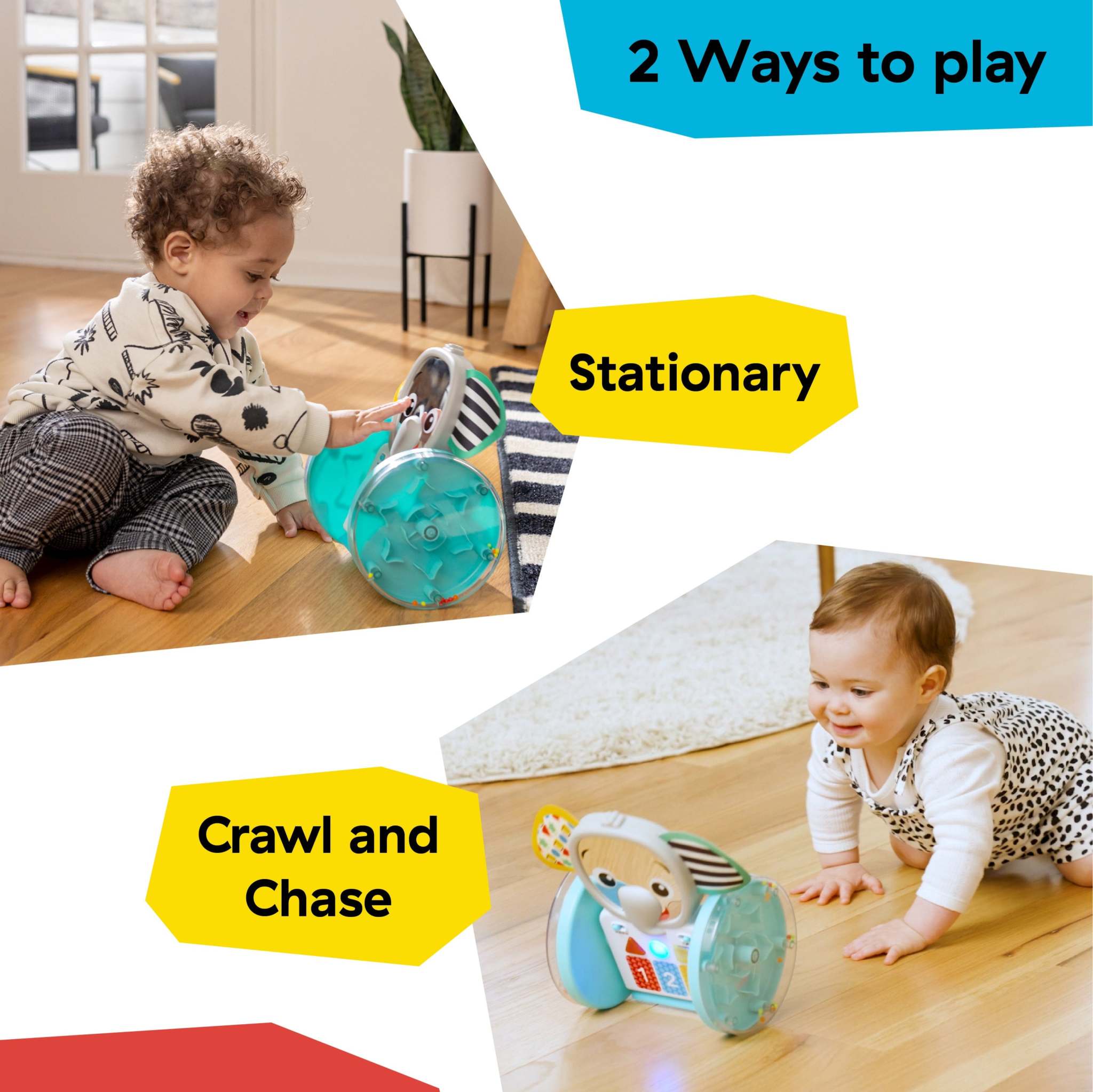 Baby playing with Baby Einstein Chase & Tap Earl™ interactive crawling toy in stationary and crawl chase modes on wooden floor